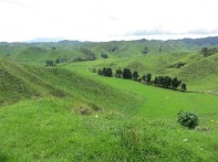 A typical hillside